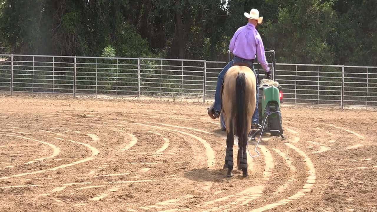 horsing tips - controlling the corner