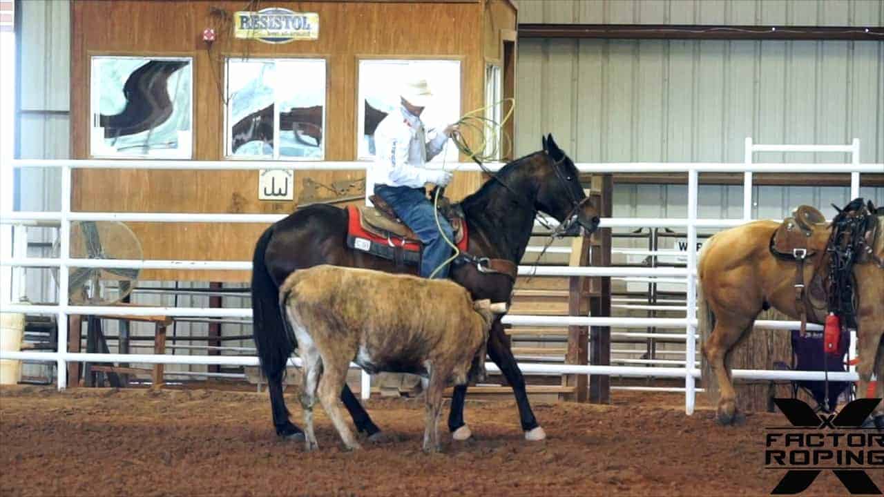 Setting Daily Goals for Yourself and Your Horse with Tyler Wade | X ...