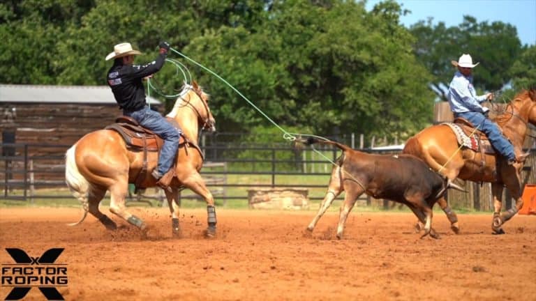 Image of two ropers in cowboy hats, riding horses and roping a steer.
