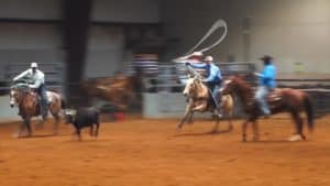 Team roping competitors in-action, roping in the arena.