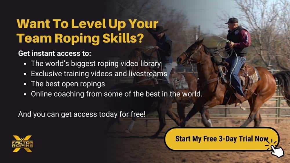 Image of two men roping from the back of their horses, with a quote from the article next to them.
