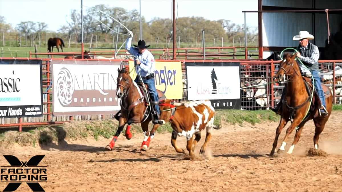 Getting Even Keel with the Steer with Joseph Harrison FREE
