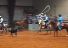 Team roping competitors in-action, roping in the arena.